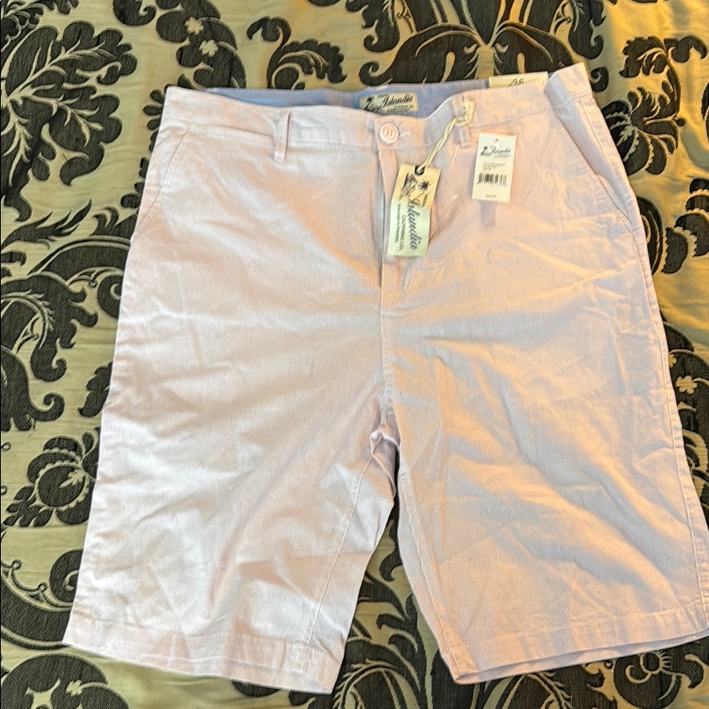 Pink Flat Front Casual Shorts Islandia - Size 36